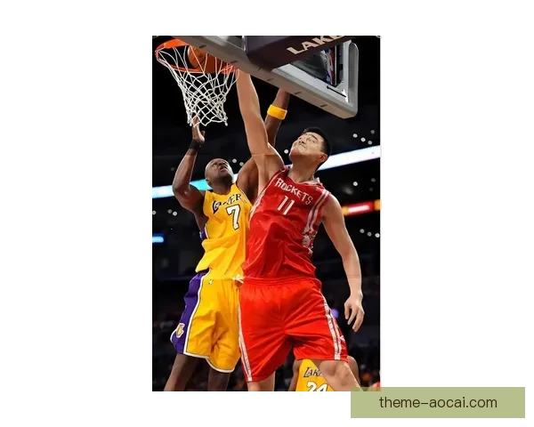 姚明十佳球精彩回顾：篮下暴扣与高难度绝杀的完美呈现