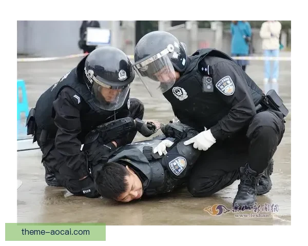 图寅根雷达虎104-85帕德博恩战术应用与技术性能分析