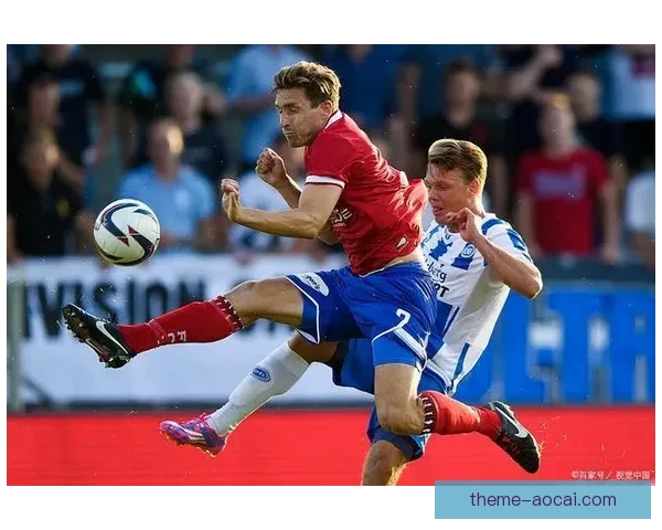 哈宁格主场失利两球不敌佛瓦德遭遇连败